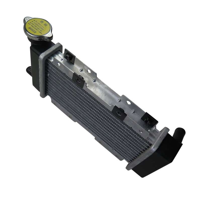 PGO Kühler vorne Bugrider 250 Wärmetauscher 250ccm 4Takt Motorroller.de Kühlaggregat PGO 250ccm-4Takt Buggy Ersatzteil Service Inpektion Direktimport