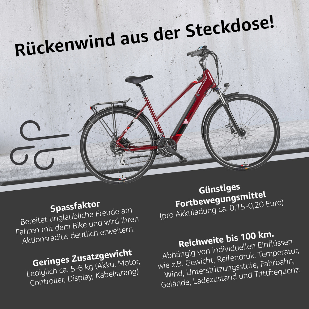 E-Bike Telefunken XC940 Expedition Elektrofahrrad Trekking-Pedelec weinrot 28" RH 50cm E-Fahrrad Trekkingrad Damenrad