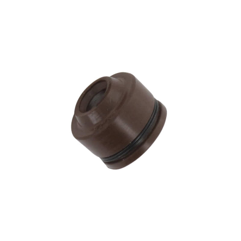 Baotian BT151T-2B6 Ventilschaftdichtung 150ccm 4Takt Motorroller.de Dichtungsring Dichtung Ventil 150cc 4T Ventilschaftabdichtung