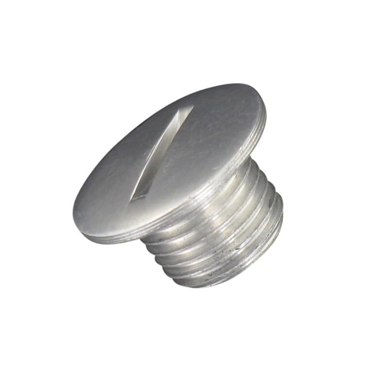 Chunlan Chopper Lichtmaschinenkappe 125ccm 4Takt 244FM.03.01-03 Motorroller.de Motorrad Moped Ersatzteil Service Inpektion Direktimport