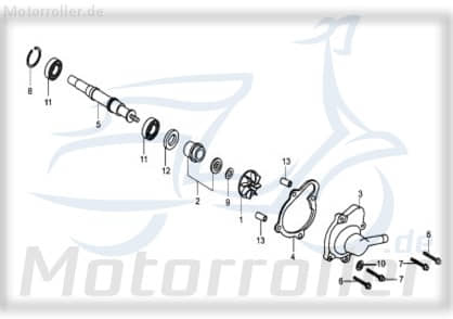 Bundschraube M6x25mm Tongjian BUGGY 250 250ccm 4Takt Motorroller.de Maschinenschraube Flanschschraube Flansch-Schraube Maschinen-Schraube 250ccm-4Takt