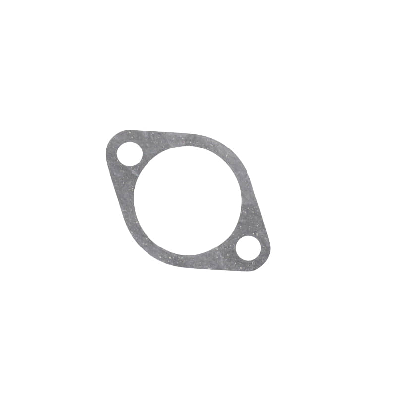 Dichtung Kettenspanner C5072481000