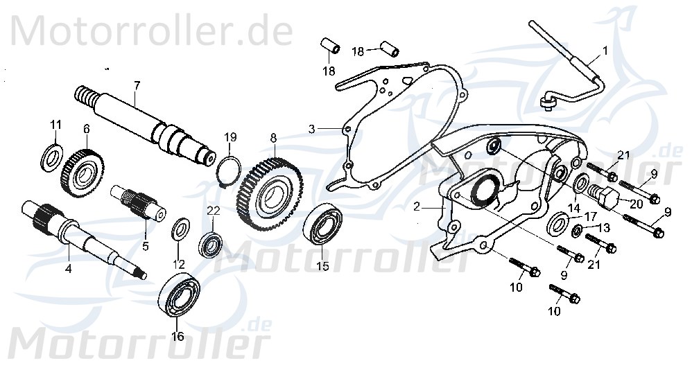 Getriebeabdeckung Tongjian Strassenbuggy 250 172MM-060009 Motorroller.de Getriebedeckel Eppella ECM TBM Twister Hammerhead Wangye Kasea Buggy