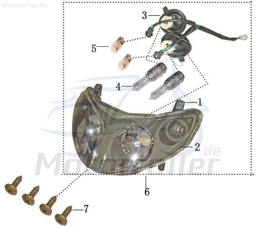 SMC REX Quad 50 Birne Standlicht 50ccm 2Takt 55313-GAT-00 Motorroller.de 12V 5W vorn Glühbirne Leuchtmittel Halogen Strahler Halogenstrahler ATV UTV