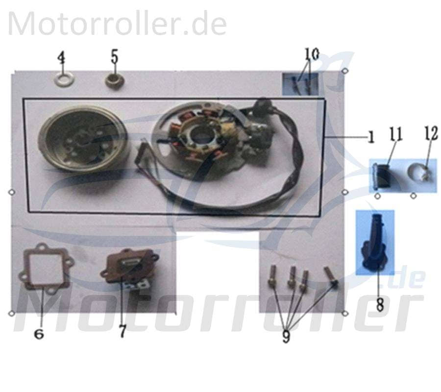 ZNEN Florett 2.0 50 City Membraneventil 50ccm 2Takt 1715A-EQ5B-9000 Motorroller.de Menbranventil Membranenventil Minarelli liegend Mokick