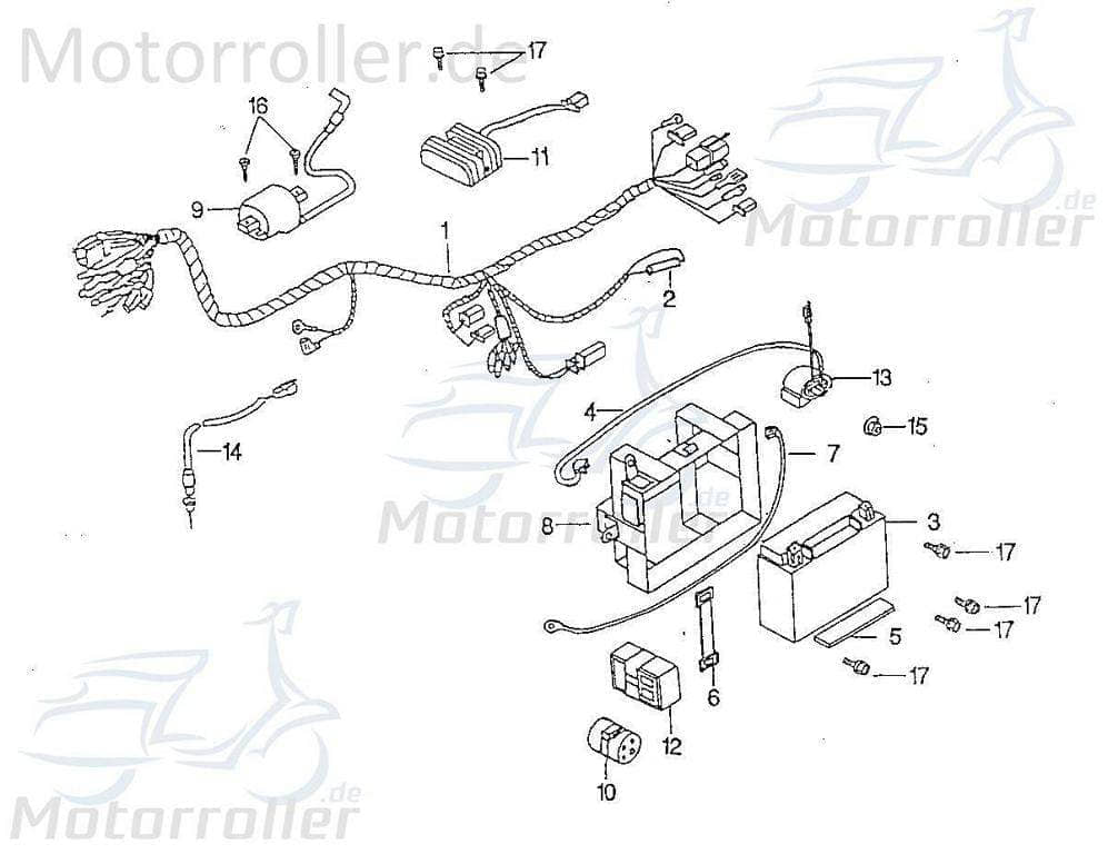 Sicherung elektro 15A Rex Chopper 125 Motorrad 125ccm 4Takt Motorroller.de Schmelzsicherung Absicherung Hauptsicherung 6x30mm 125ccm-4Takt Cruiser 125