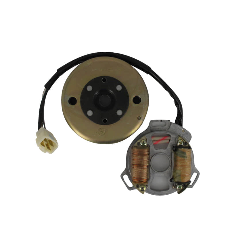 Eppella Eppelino 50 Lichtmaschine 50ccm 4Takt D1E41FM-D-07.2-00 Motorroller.de mit Polrad Stator Ankerplatte Anker-Platte Stromerzeuger Licht-Maschine