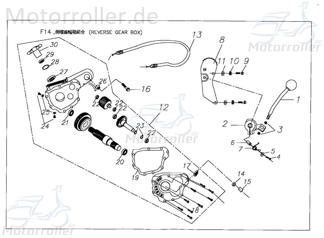 Feder / Druckfeder Druck-Feder X2451050000