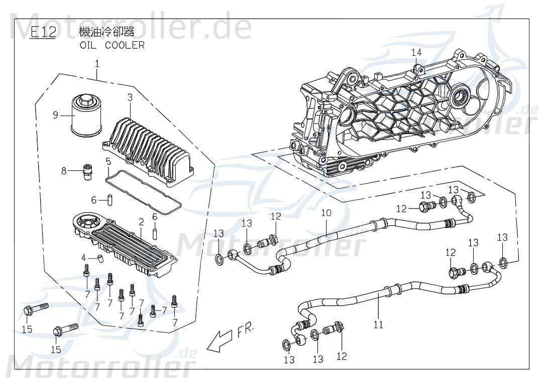 PGO Ölablassschraube X-RIDER 150 Ölschraube Quad 150ccm 4Takt Motorroller.de Öl-Schraube PGO 150ccm-4Takt ATV T-Rex 150 UTV Ersatzteil Service