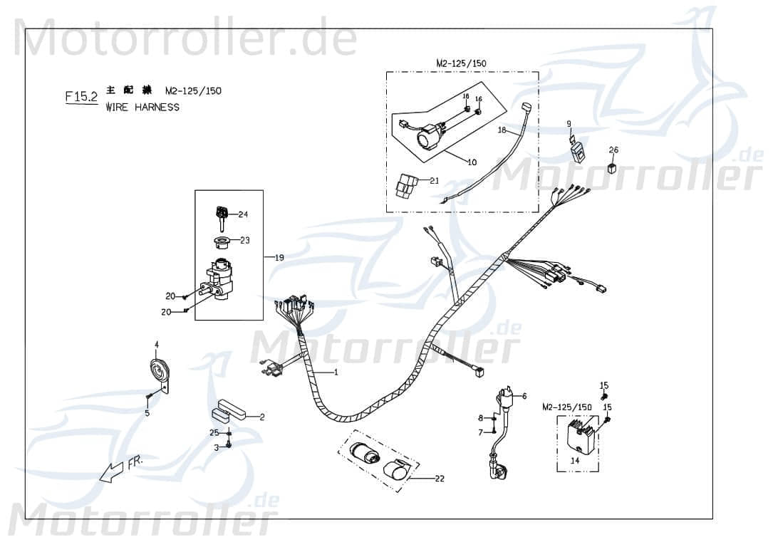 PGO Kabelbaum G-Max 50 Kabelsatz Stromverteiler 50ccm 2Takt Motorroller.de Strom-Verteiler Kabel-Set Kabelbündel Kabel-SatzKabelbaumverteiler Scooter