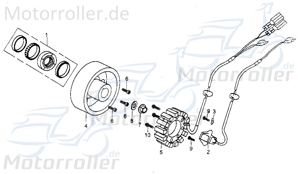 Lichtmaschine Stator Tongjian Ankerplatte Buggy 250ccm 4Takt Motorroller.de Zündplatte Zündgrundplatte Lichtmaschinenspulen Lichtmaschinenwicklung