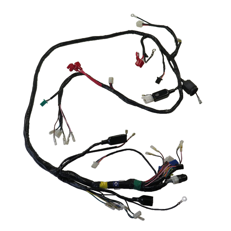 PGO T-Rex 110 Kabelbaum Kabelsatz 110ccm 2Takt C15816020001 Motorroller.de Stromverteiler Strom-Verteiler Kabel-Set Kabelbündel Kabel-Baum Scooter