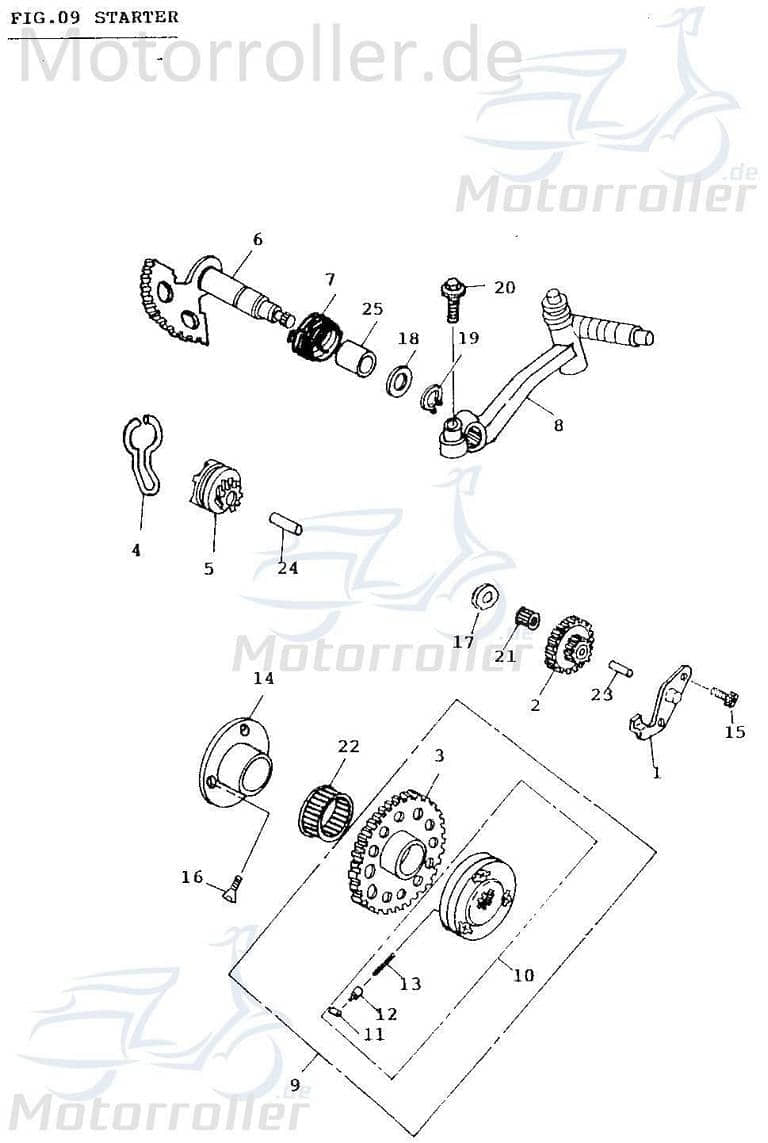 Adly Stift Scoody 50 2 Bolzen 8 x 26 mm Passstift Nietstift 50ccm 2Takt Motorroller.de Pass-Stift Minarelli liegend Scooter Ersatzteil Service Inpekti