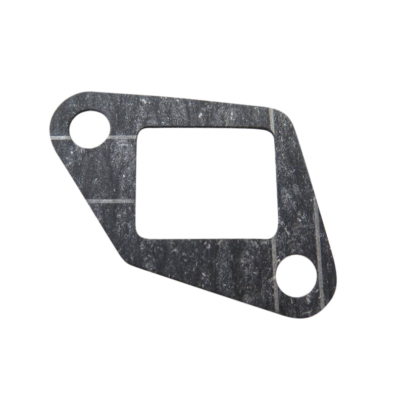 Dichtung Steuerkettenspanner D00-03001-00