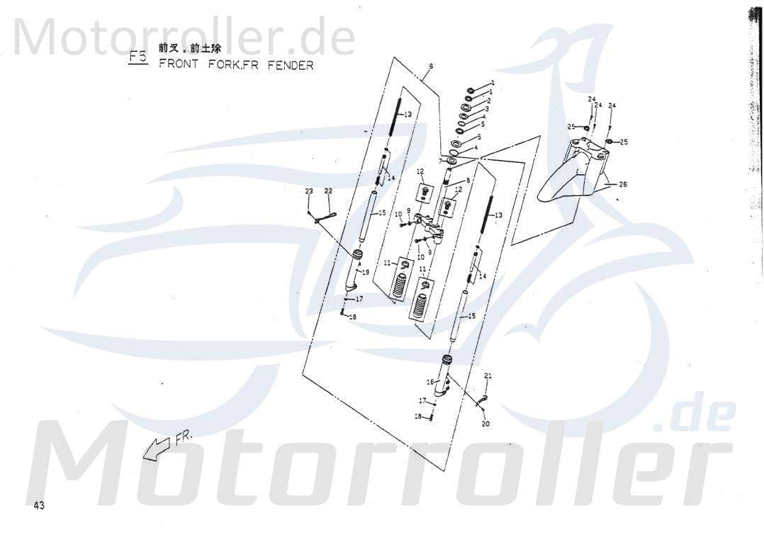 Schraube M 6 x 10 von Motorroller.de 98593