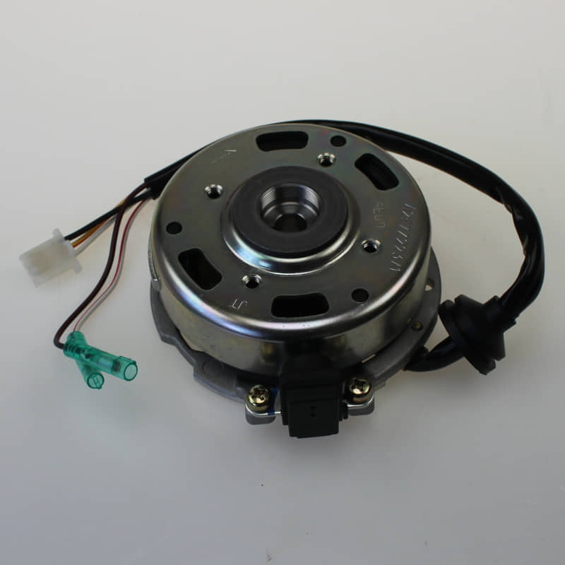 Adly Lichtmaschine ATV 50 II Utility AC Quad 50ccm 2Takt 31100-116-000 Stator Ankerplatte Anker-Platte Stromerzeuger Strom-Generator Zündplatte