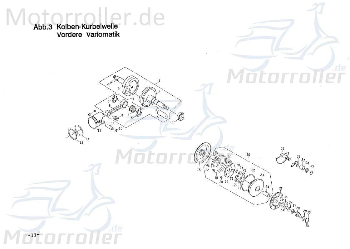 PGO Galaxy 50 Kolben 50ccm-2Takt Piston Motorkolben Roller 50ccm 2Takt E10670100001 Motorroller.de PGO 50ccm-2Takt Scooter Comet 50 Ersatzteil Service