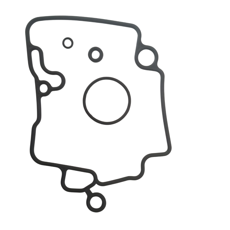 Dichtsatz Dichtungssatz Schwimmerkammer Vergaser Rex RS450 Dichtungen 50ccm 4Takt Motorroller.de Dichtungsset Dichtset Dichtkit