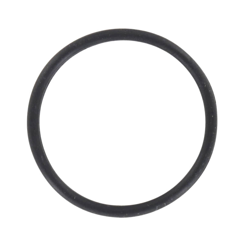 O-Ring 27 x 2 Dichtung M150-1001201