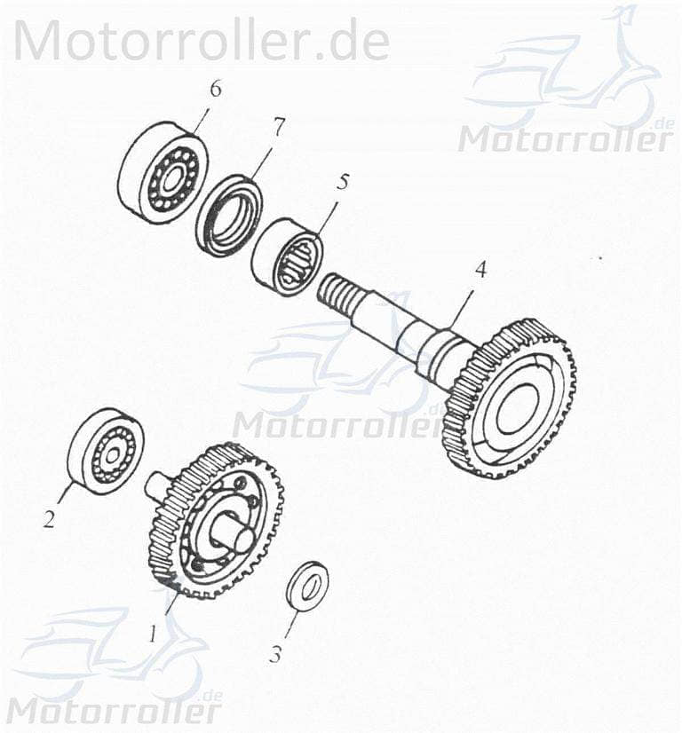 Adly Getriebezahnrad Getriebezwischenrad Ritzel 50ccm 2Takt Motorroller.de Getrieberitzel Getriebrad Minarelli stehend Scooter Scoody 50 2 AT 50 2
