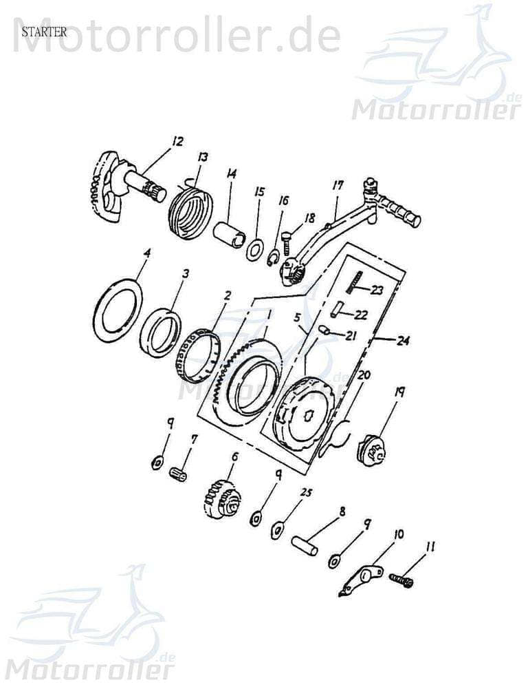 Laufring Anlasser 51x55x13,9mm Adly Freilauf Quad 50ccm 2Takt Motorroller.de Leerlauf Minarelli liegend ATV ATV 50 II Utility XXL AC UTV Ersatzteil