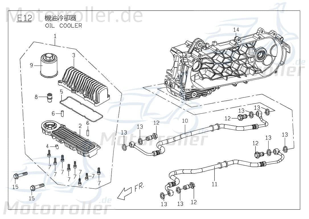 PGO Ölschraube X-RIDER 150 Quad ATV G-Max 150 150ccm 4Takt Motorroller.de PGO 150ccm-4Takt T-Rex 150 UTV Ersatzteil Service Inpektion Direktimport