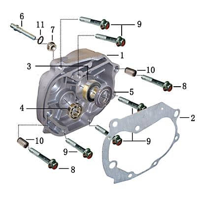 Rex Drive 50 Simmerring 25x44x7mm Roller 50ccm 2Takt 704172 Motorroller.de Getriebe Simmering Wellendichtring Abdichtring Dichtringe Radialdichtring