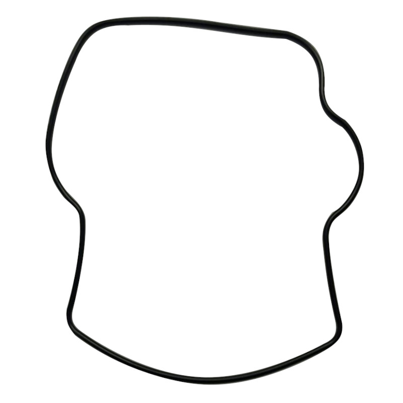 Dichtung für Ventildeckel Ventildeckeldichtung 1239162