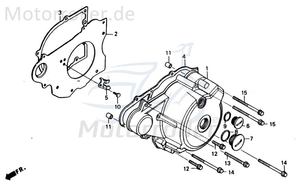 Chunlan Chopper Bundschraube 125ccm 4Takt 244FM.03.07-12 Motorroller.de 6x50mm Maschinenschraube Flanschschraube Flansch-Schraube Maschinen-Schraube