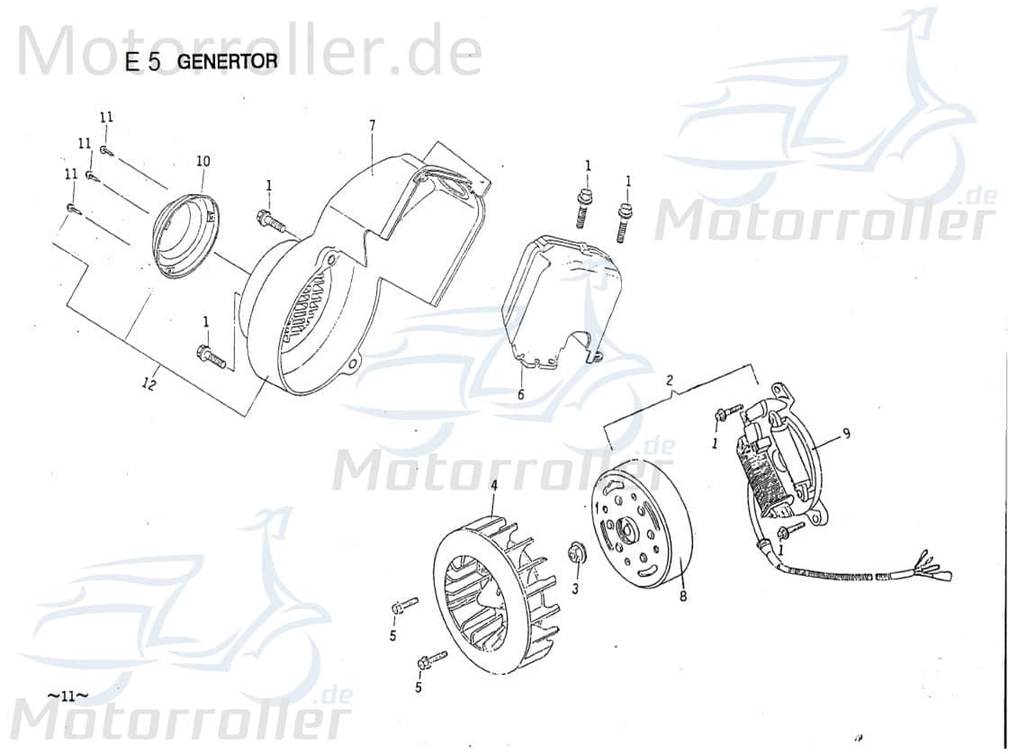 PGO Galaxy 50 Gebläserad Lüfterrad 50ccm-2Takt Flügelrad 50ccm 2Takt E1043000000 Motorroller.de Luftrad Lüfter-Rad Luft-Rad Ventilatorrad Gebläse-Rad