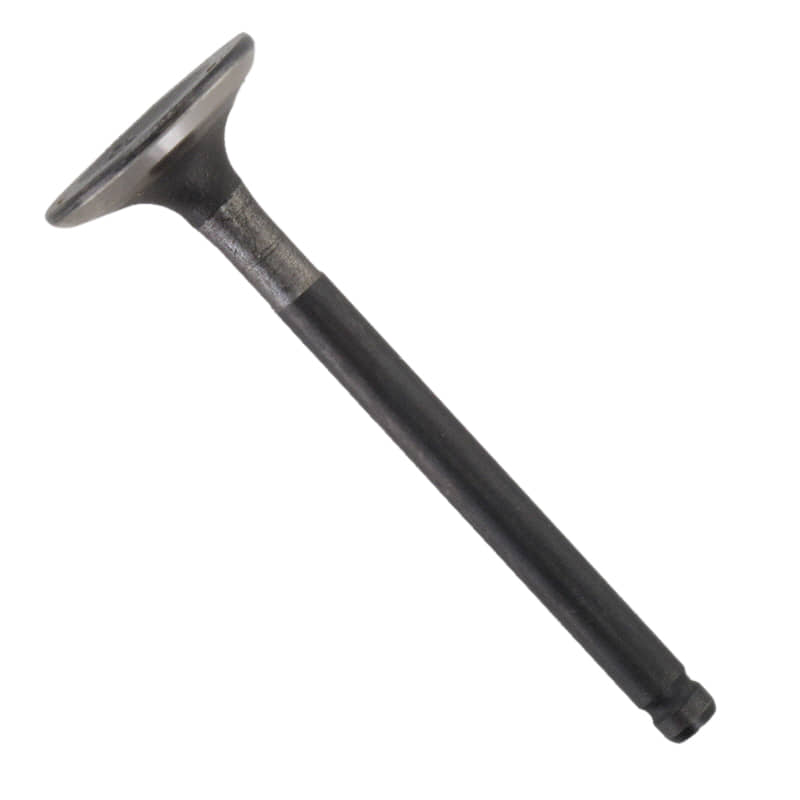 PGO Einlassventil d=21,5mm G-Max Motorventil Abgasventil C1071200000 Motorroller.de Motor-Ventil Einlass-Ventil Abgas-Ventil PGO 125ccm-4Takt Mokick