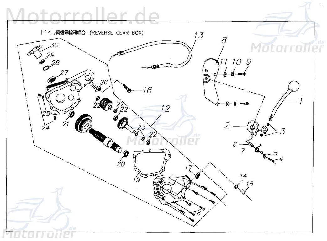 Dichtung Rückwärtsganggetriebe 19 cm X2144080000