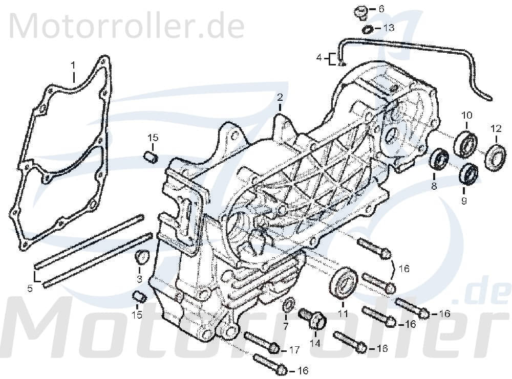 Dichtung Motorgehäuse links DAE-11191-SA1-0000-EU