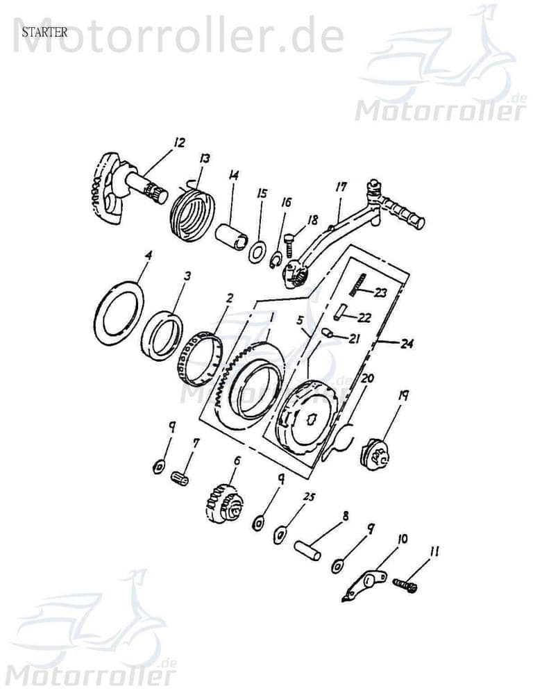 Adly Anlasser Thunder Bike TB 100 Starter Roller 100ccm 2Takt Motorroller.de Anlasser-Motor Elektrostarter E-Starter Anlassermotor Elektro-Starter