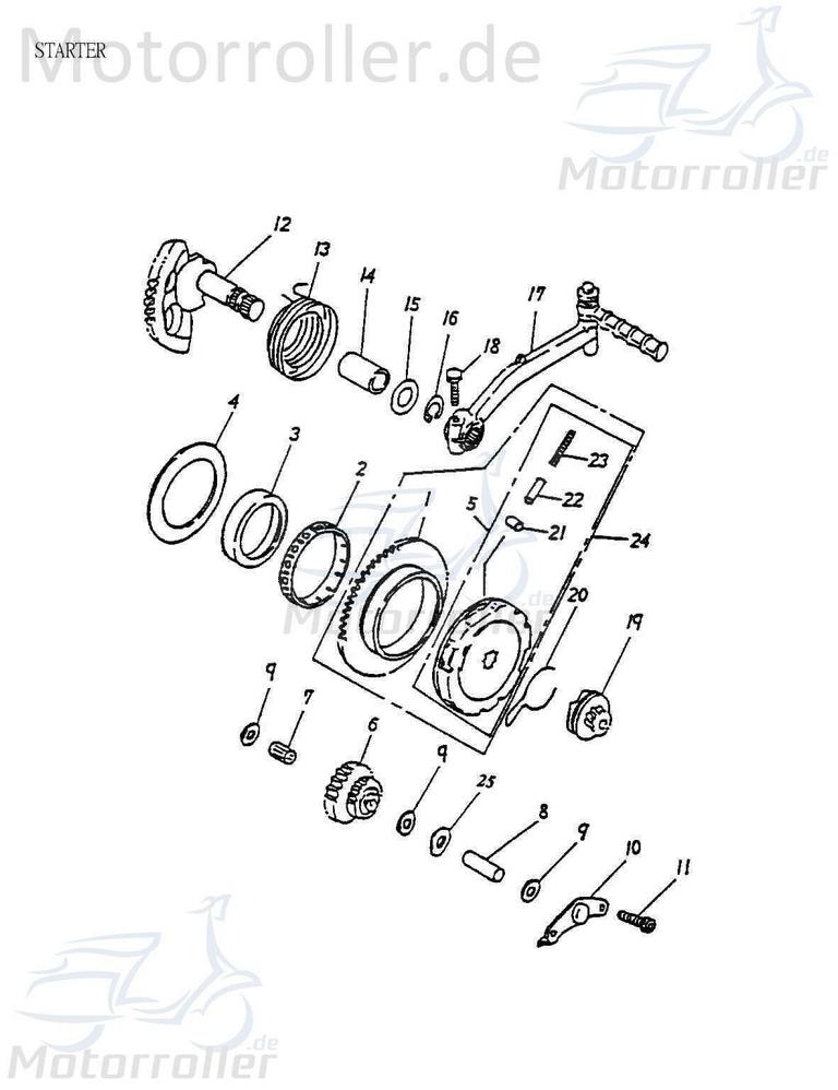 Adly Laufring Anlasser 55x50x14mm Freilauf Quad 50ccm 2Takt Motorroller.de Leerlauf Minarelli liegend ATV ATV 50 II Utility XXL AC UTV Ersatzteil