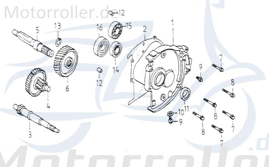 Adly Noble 125 Getriebewelle 125ccm 4Takt 23411-121-000 Motorroller.de Getriebeeingang 173mm 152QMI Achse Getriebeeingangswelle Antriebsachse Scooter