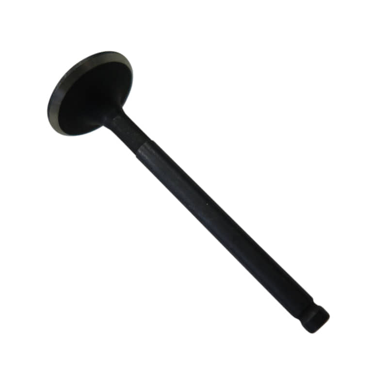 Auslassventil d=21,5mm M150-1001307-I
