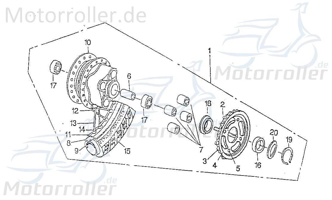 Rex Chopper 125 Kettenrad / Antriebsrad 125ccm 4Takt 42811-CHP-0041 Motorroller.de 41 Zähne offene Version Ritzel Ketten-Rad Zahn-Rad Antriebs-Rad