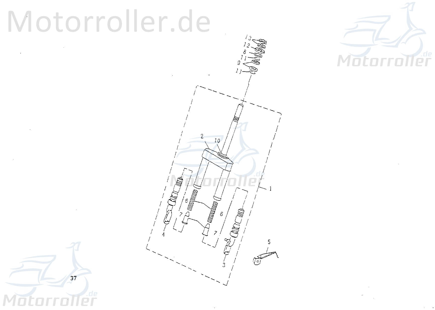 Ringmutter Rex Scooter 50 Konusmutter Lenkermutter 79775 Motorroller.de 1E40QMB Scooter Ersatzteil Service Inpektion Direktimport