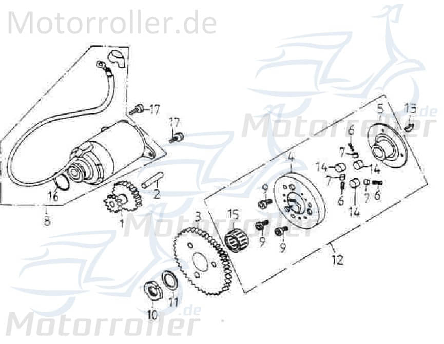 Adly Anlasserfreilauf 125/180ccm 152QMI GY6 125ccm 4Takt Motorroller.de Anlasser-Freilauf Starterkupplung Elektrostartfreilauf E-Starterfreilauf Buggy