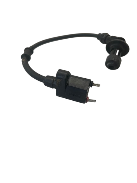 Zündspule Zündkabel B55846000003