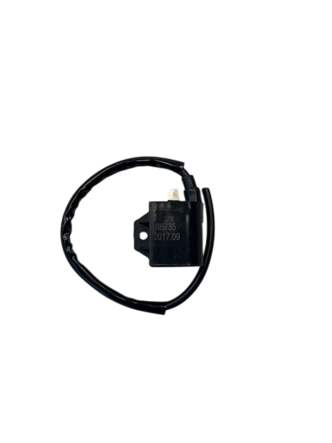 Rex RS250 Zündspule Zündkabel Zündung 50ccm 2Takt 87917 Motorroller.de Zündmodul Kerzenstecker Zünd-Kabel Zünd-Spule Kerzen-Stecker Zünd-Modul Jonway