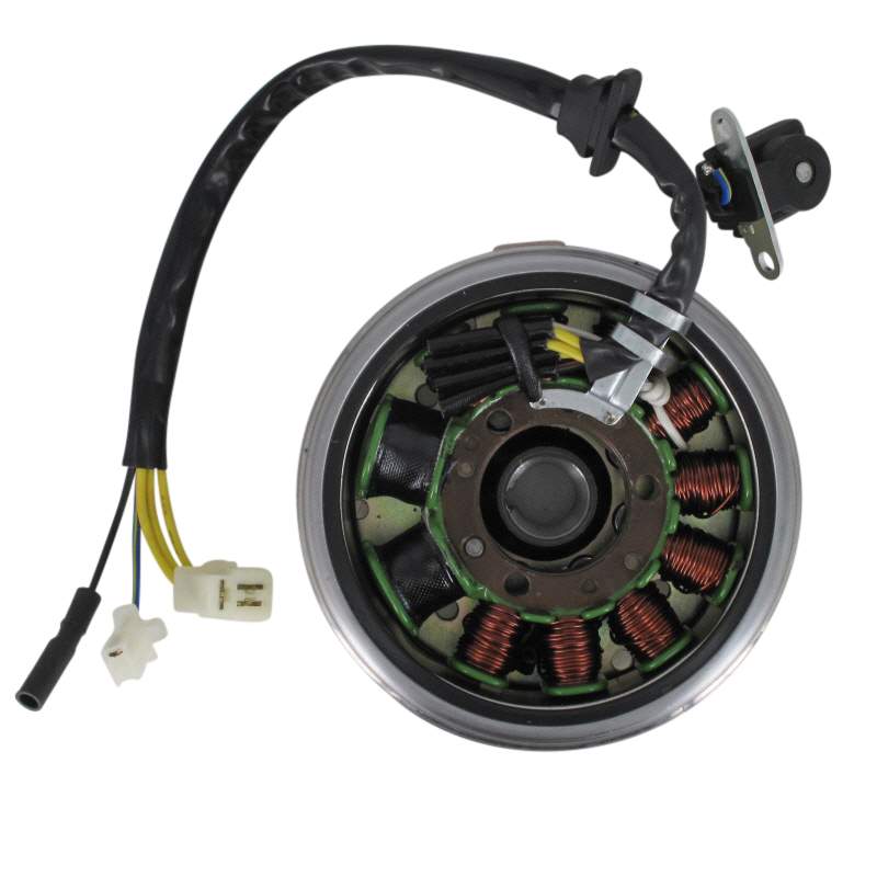 PGO Lichtmaschine DC 11 11Spulen Bugxter 150 150ccm 4Takt Motorroller.de Stator Ankerplatte Anker-Platte Stromerzeuger Strom-Generator Licht-Maschine
