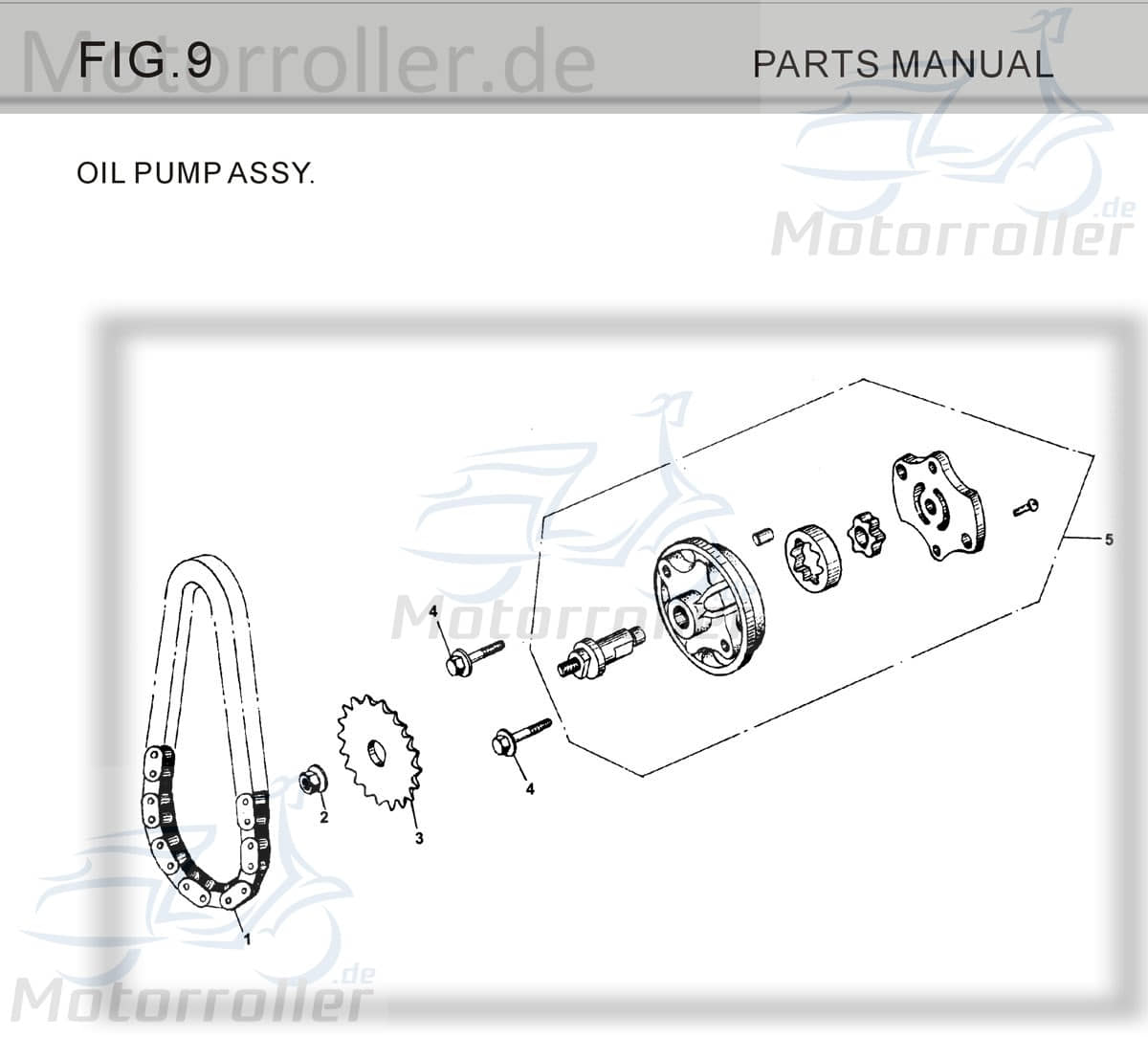Antriebsritzel Ölpumpe Tongjian Kettenritzel 150ccm 4Takt Motorroller.de Antriebsrad Antriebritzel Antriebszahnrad Antriebs-Ritzel Antrieba-Rad Buggy