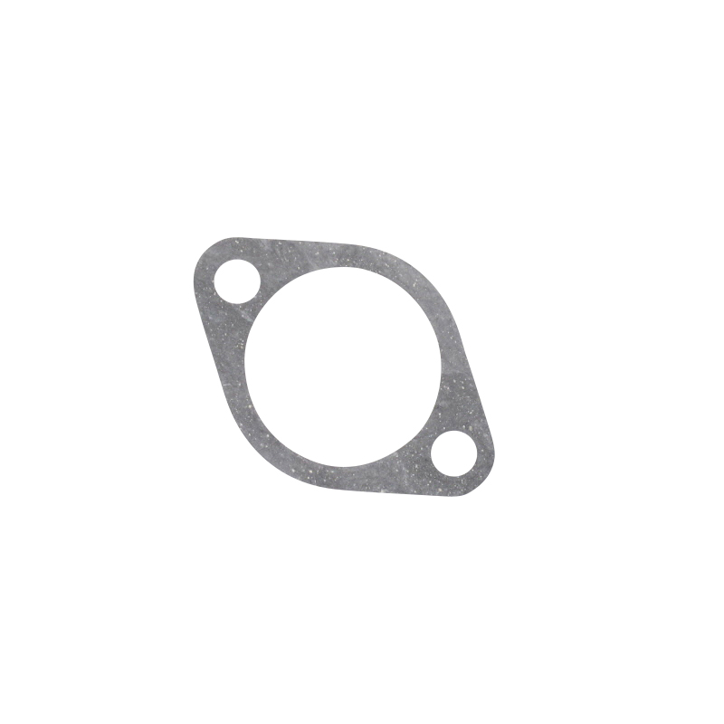Dichtung Ketteneinsteller C5072480000