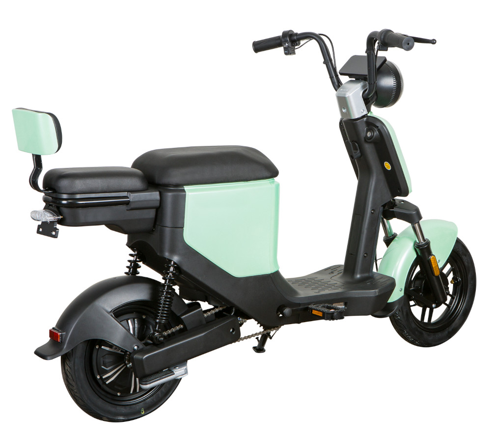 Elektroroller Scoody 25 E-Go ZT-05A grün 350W 25 km/h E-Scooter E-Roller Mofa