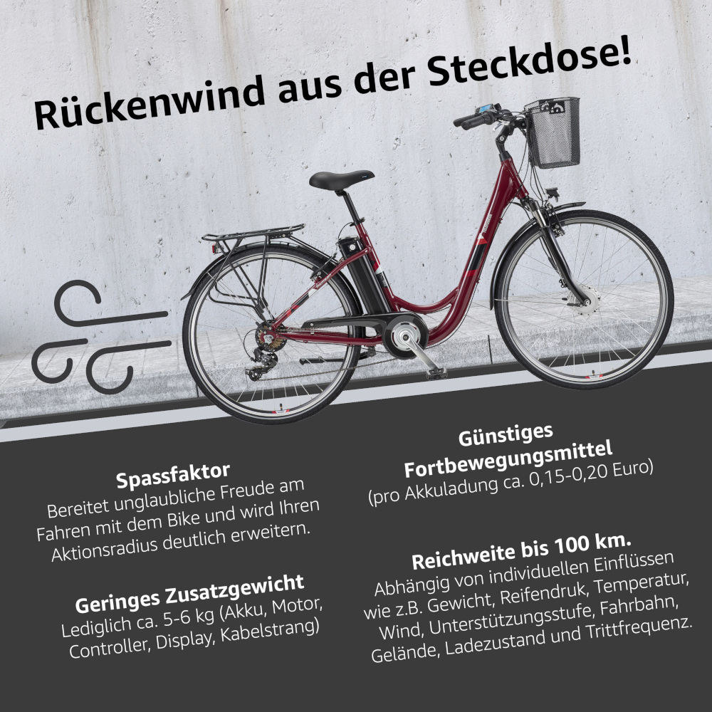E-Bike Telefunken RC822 Multitalent Elektrofahrrad City-Pedelec weinrot 28" RH 48cm E-Fahrrad Citybike