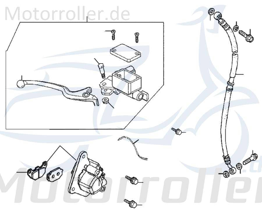 Bundmutter Rex RS125 Sechskantmutter Roller 125ccm 4Takt Motorroller.de Flanschmutter Sechskant-Mutter Flansch-Mutter Maschinenmutter Bund-Mutter