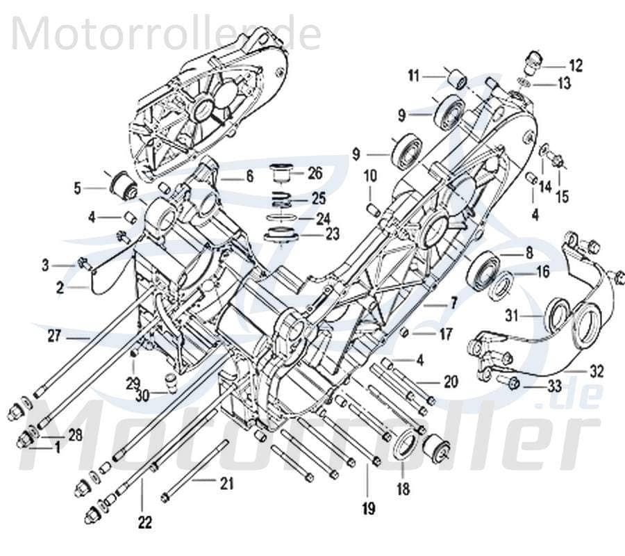 Jonway Insignio 250 DD Abdeckung Motorgehäuse 250ccm 4Takt 750563 Motorroller.de Kappe Deckel Schutz Verkleidung Platte Cover Blende Schutzhaube