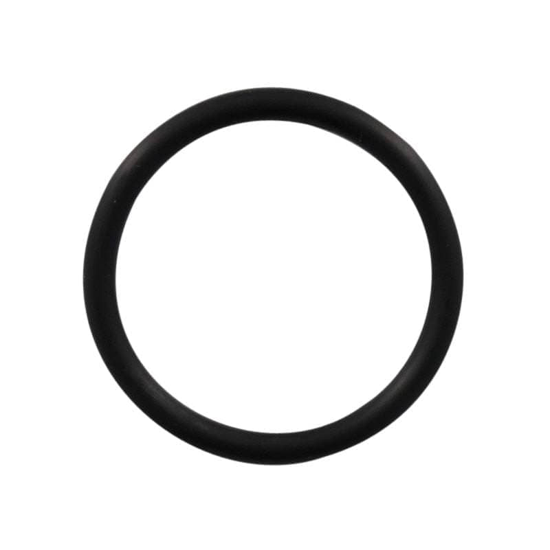 O-Ring Erstausrüster Standard Ersatzteil 95512300000